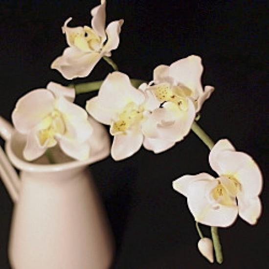 Rezeptbild: weiße Zuckerorchidee