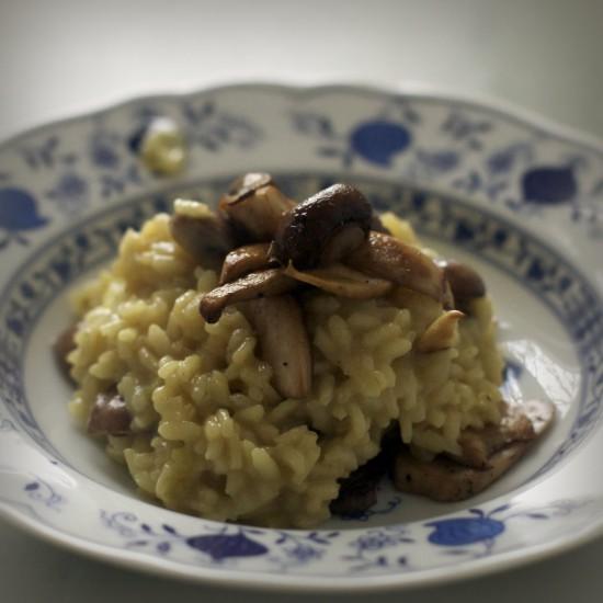 Rezeptbild: Pilzrisotto