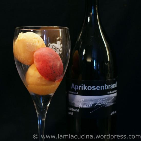 Rezeptbild: Aprikosensorbet