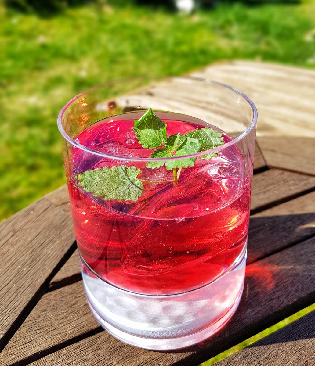 Rezeptbild: Cranberry Gin and Tonic