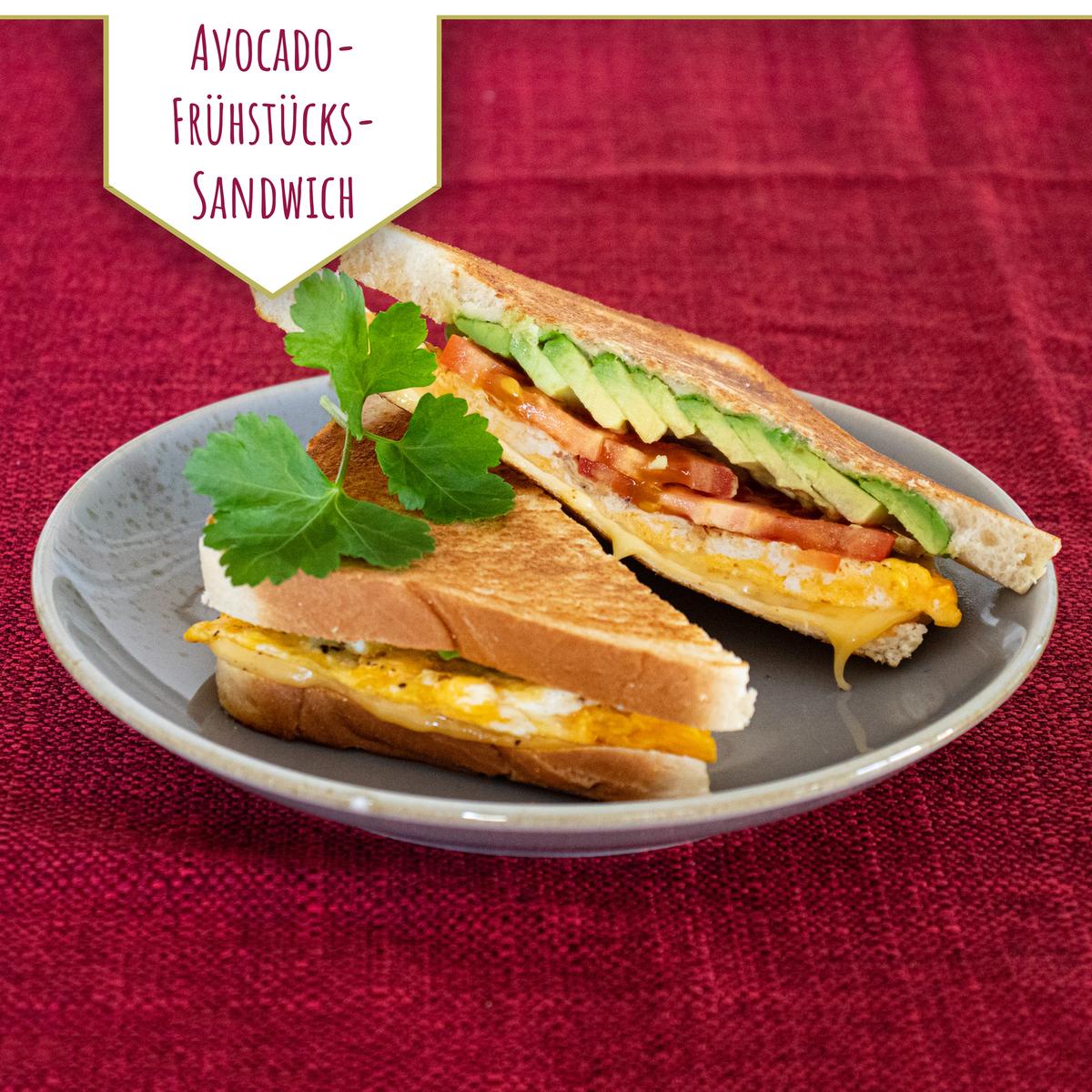 Rezeptbild: Avocado-Frühstücks-Sandwich