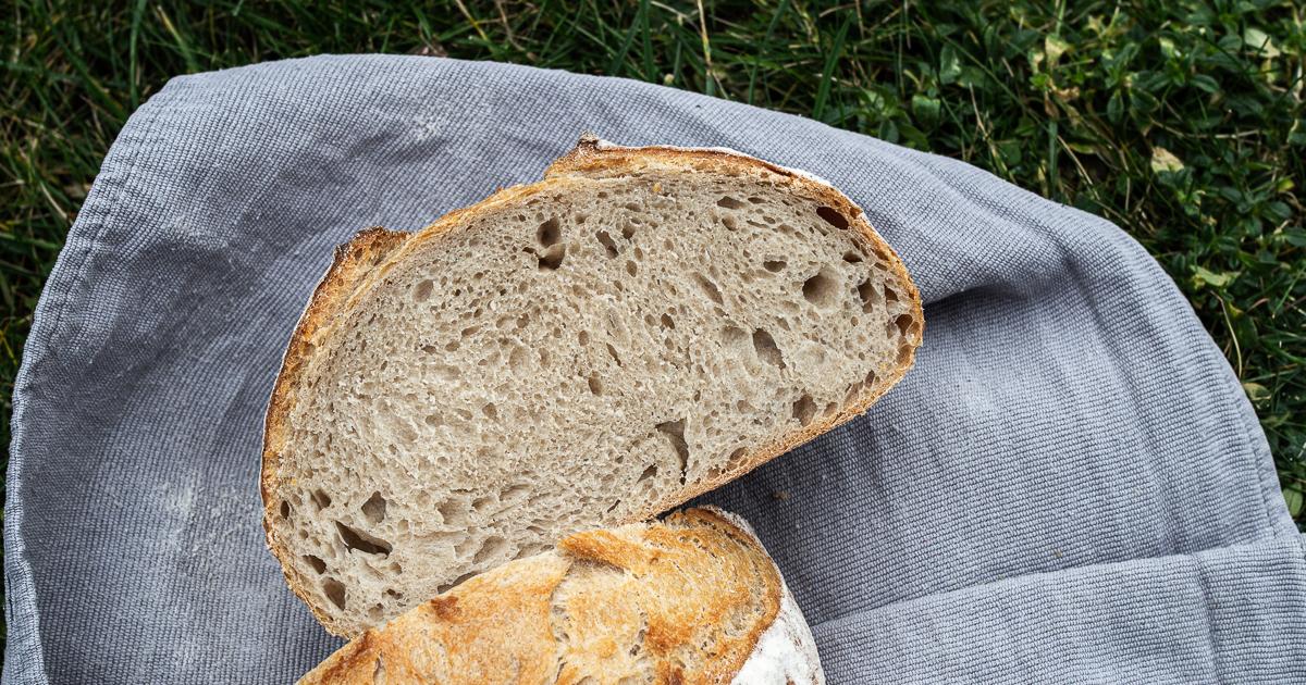 Rezeptbild: Brote für Brotbackstarter Nr. 7: Das Graue & Einfache