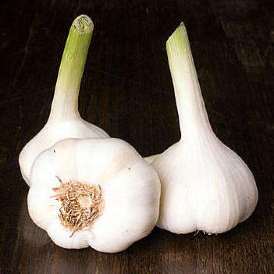 Rezeptbild: Knoblauch