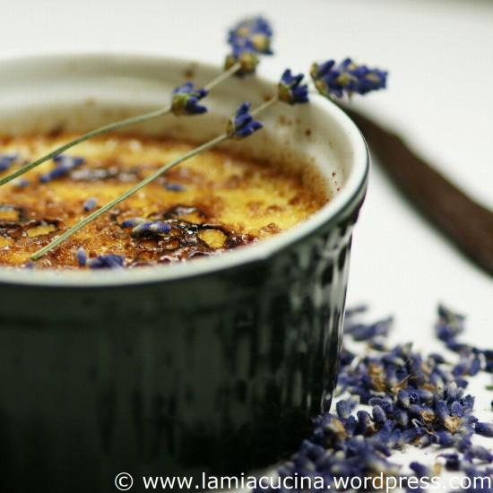 Rezeptbild: Creme brulée mit Lavendel
