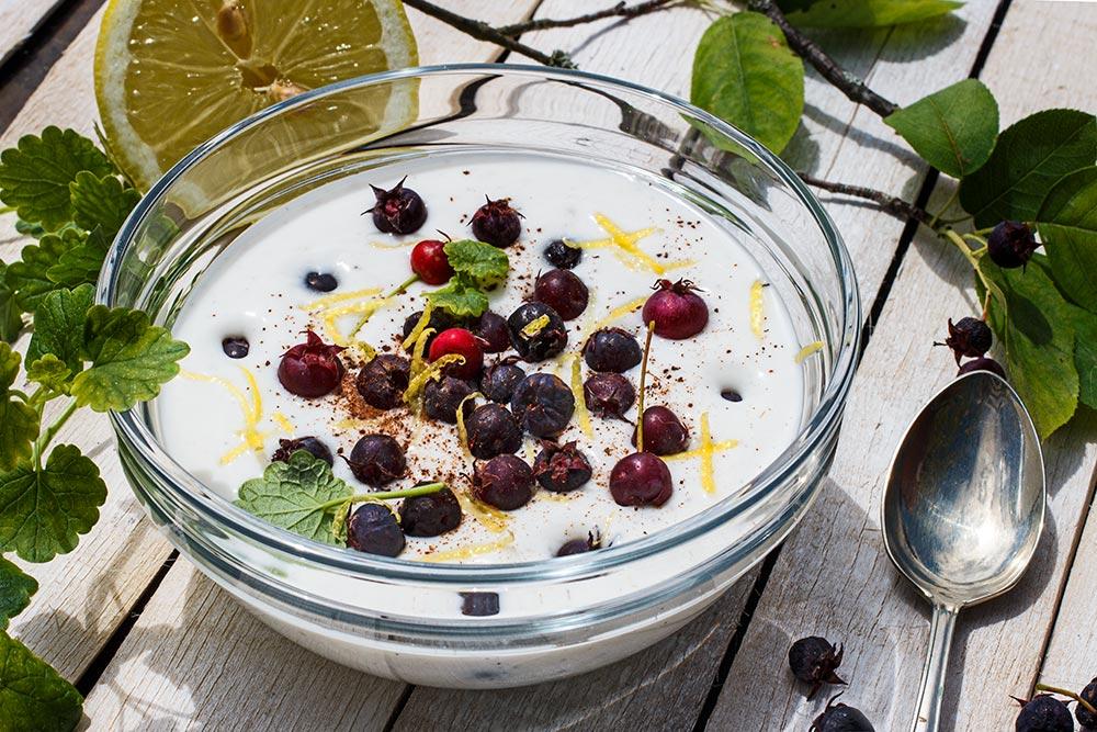 Rezeptbild: Felsenbirnen auf Joghurt