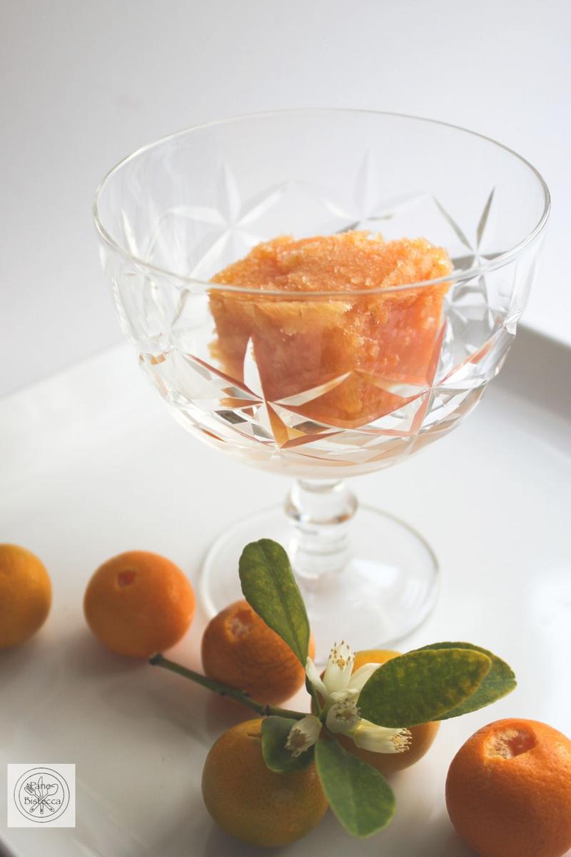 Rezeptbild: Kumquat Sorbet