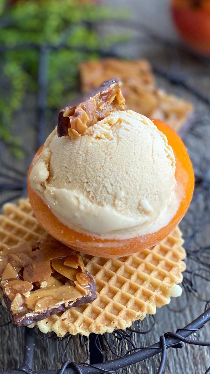 Rezeptbild: Cremiges Aprikosen Eis – selber machen!