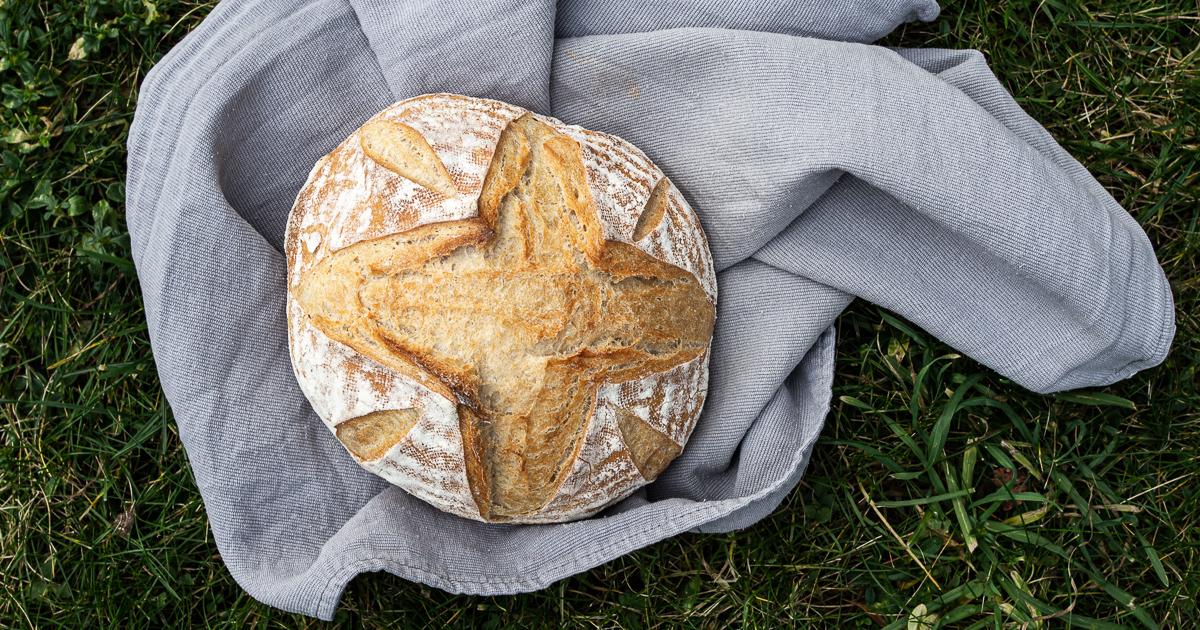 Rezeptbild: Brote für Brotbackstarter Nr. 6: Das Helle & Einfache