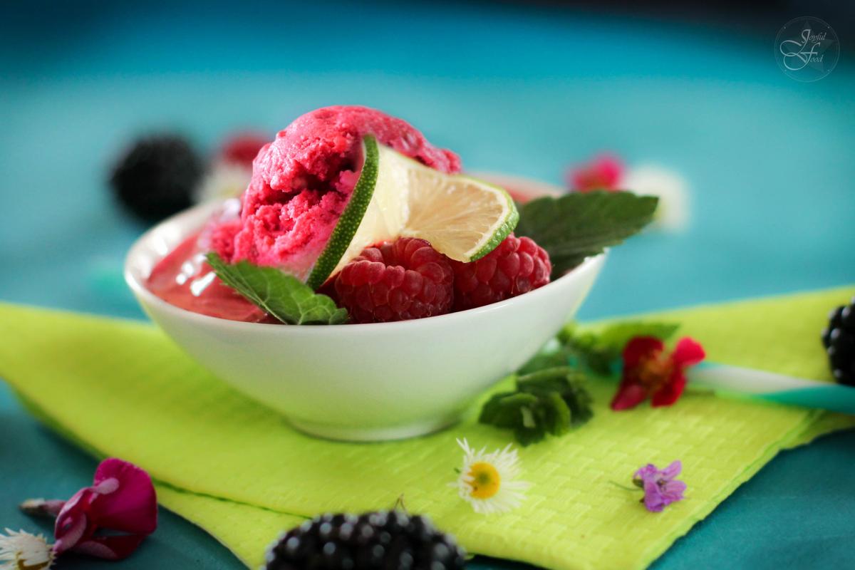 Rezeptbild: Frozen Yogurt Berry-Lime