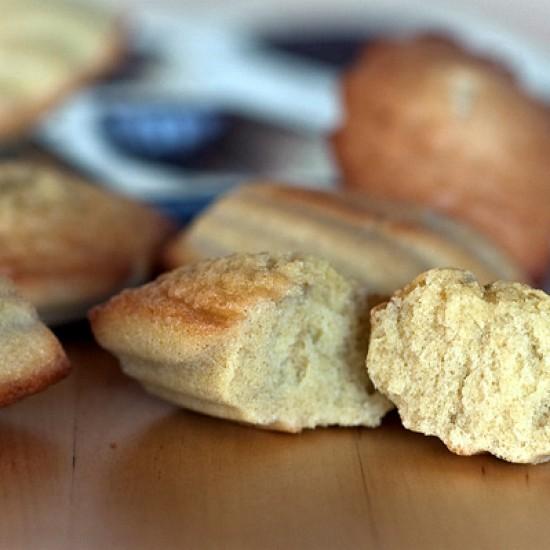 Rezeptbild: Oma Kettys geniale Madeleines